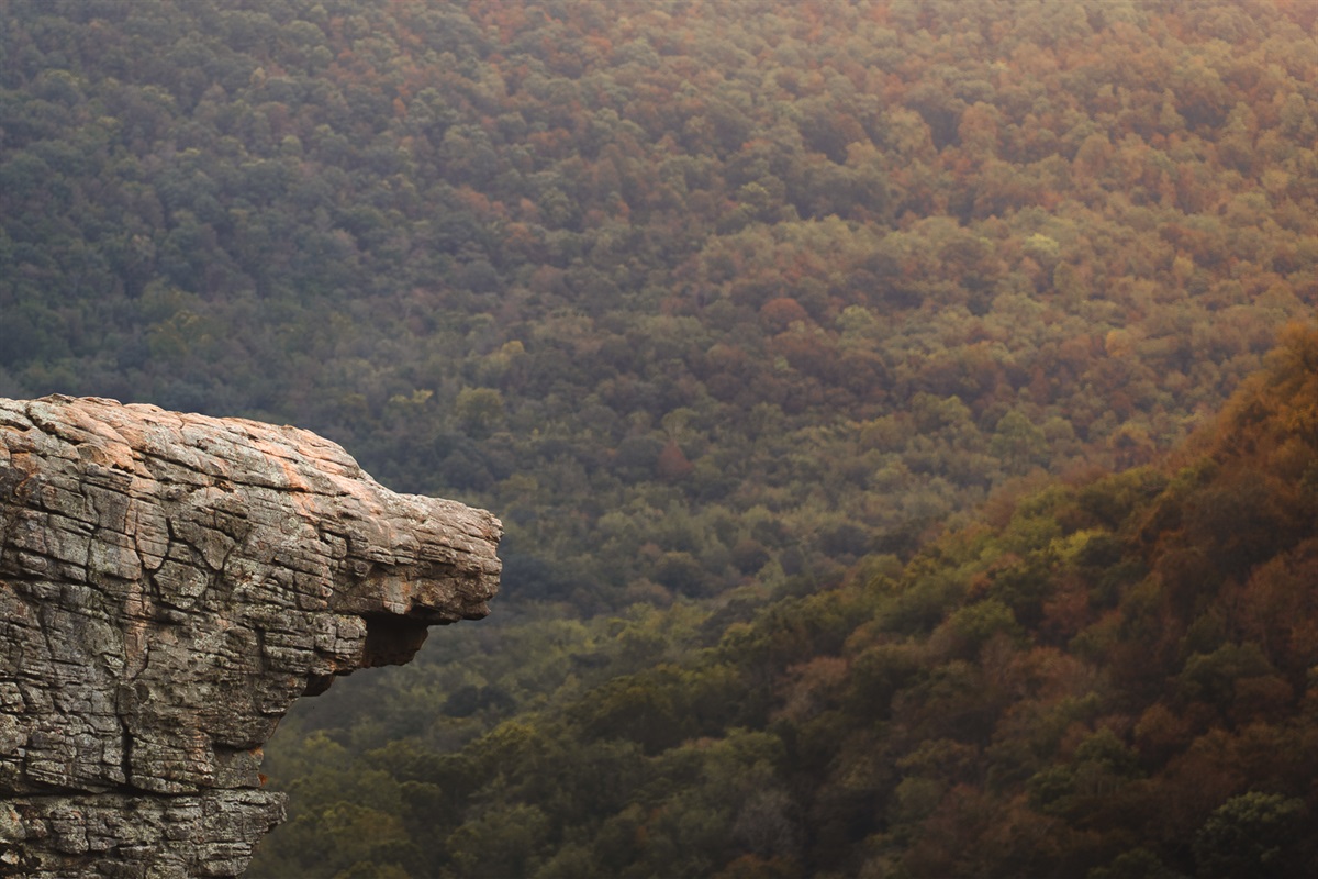 Ozark Mountains