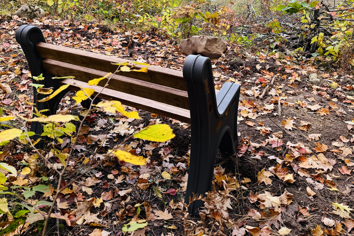 Park bench overlooking Pearce Lake.