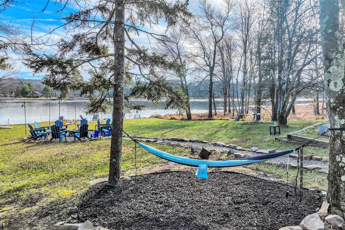 Forest-framed view — nature in every direction.