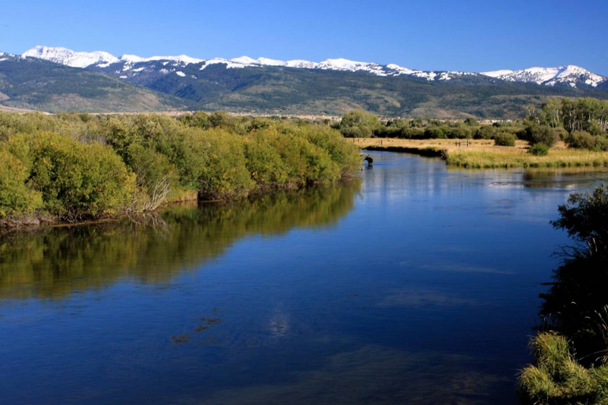 Moose Creek, an ideal fishing and exploring spot, is only a few minutes away. 