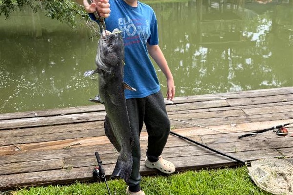 Catching a huge catfish on the backyard dock!
