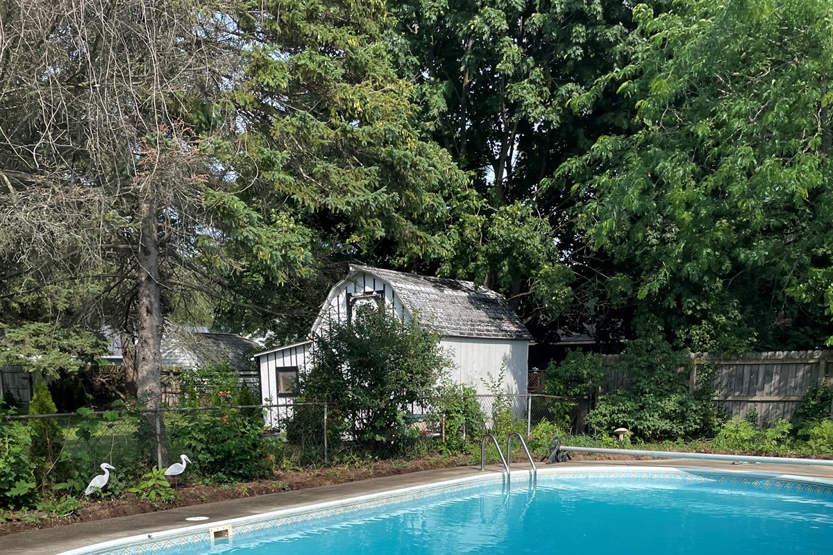 Pool located in the back yard