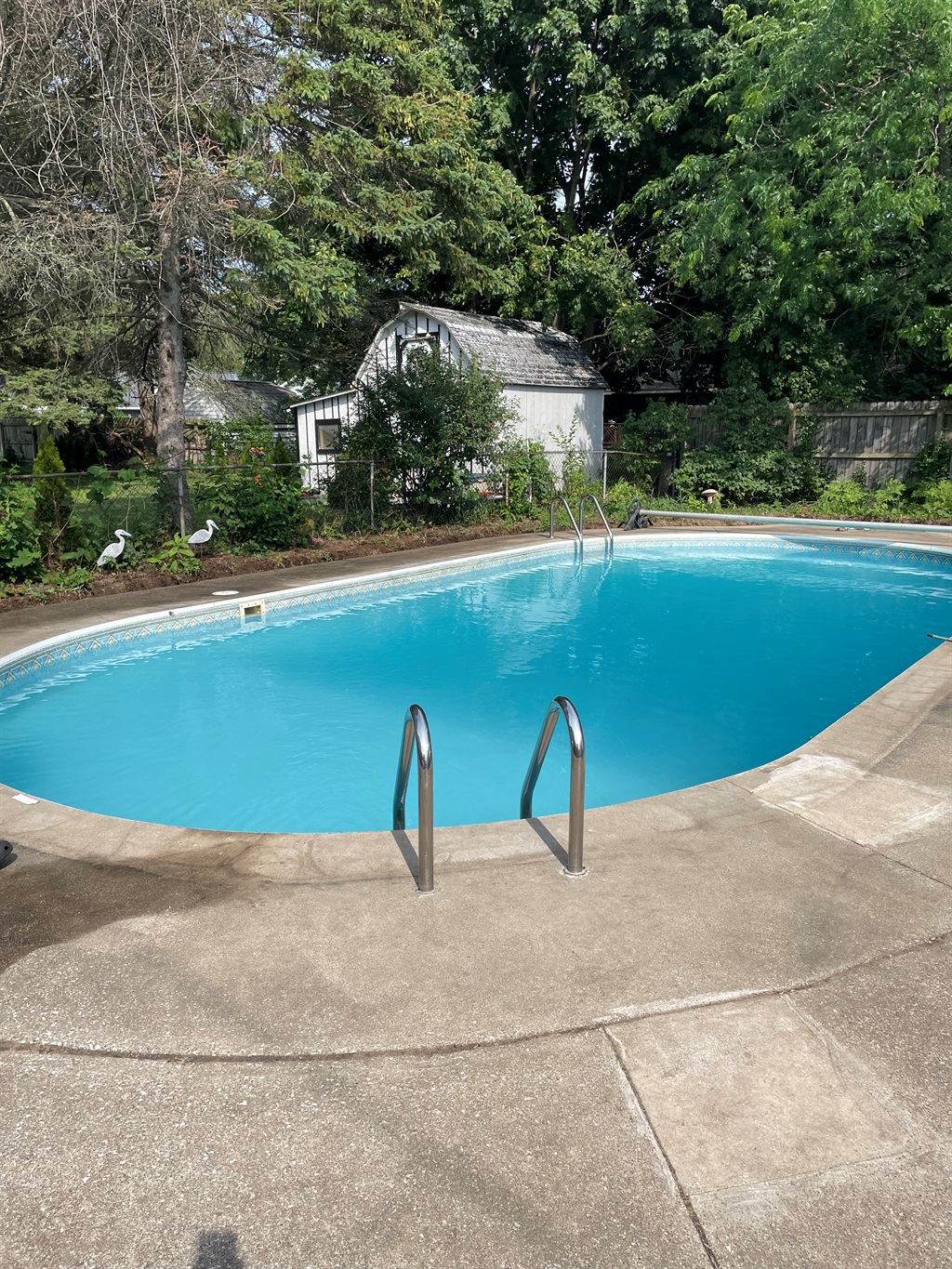 Pool located in the back yard
