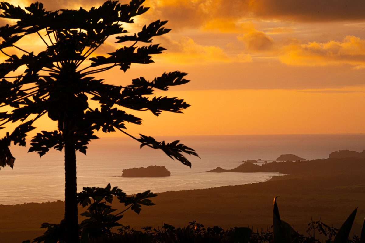 Pacific sunset silhouette over the coastline — the view from Casa Infinity's hilltop