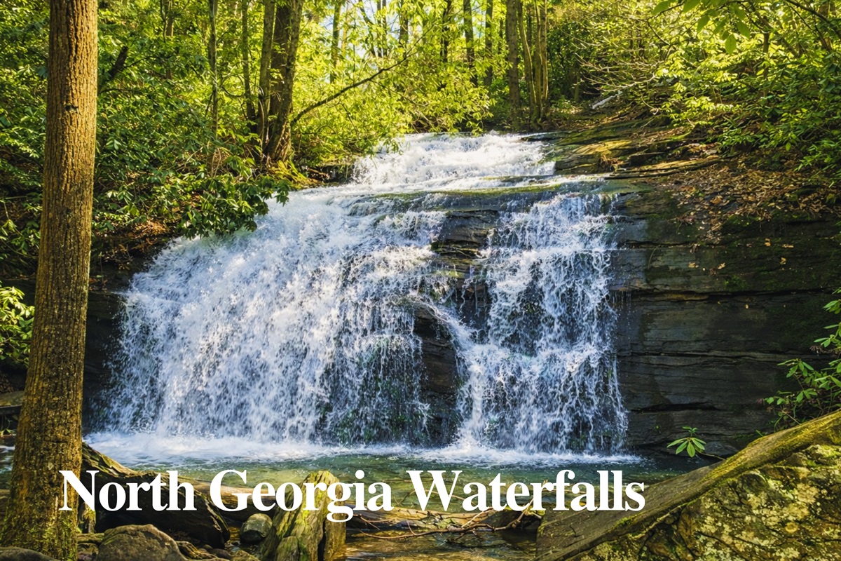Chase waterfalls in the gorgeous Blue Ridge Mountains. Find your peace where the water meets the woods (Fall Branch Falls / Long Creek Falls).
