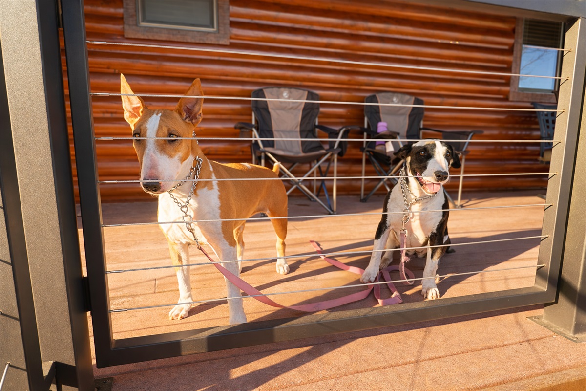 The back deck has gate to keep your furry babies close by while you enjoy the crisp mountain air.