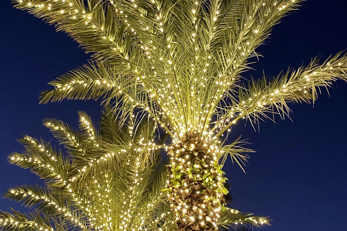 Holiday “Twinkle” 