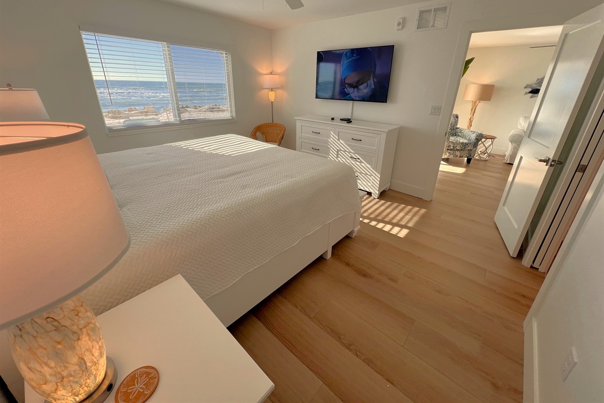 Master bedroom TV & View