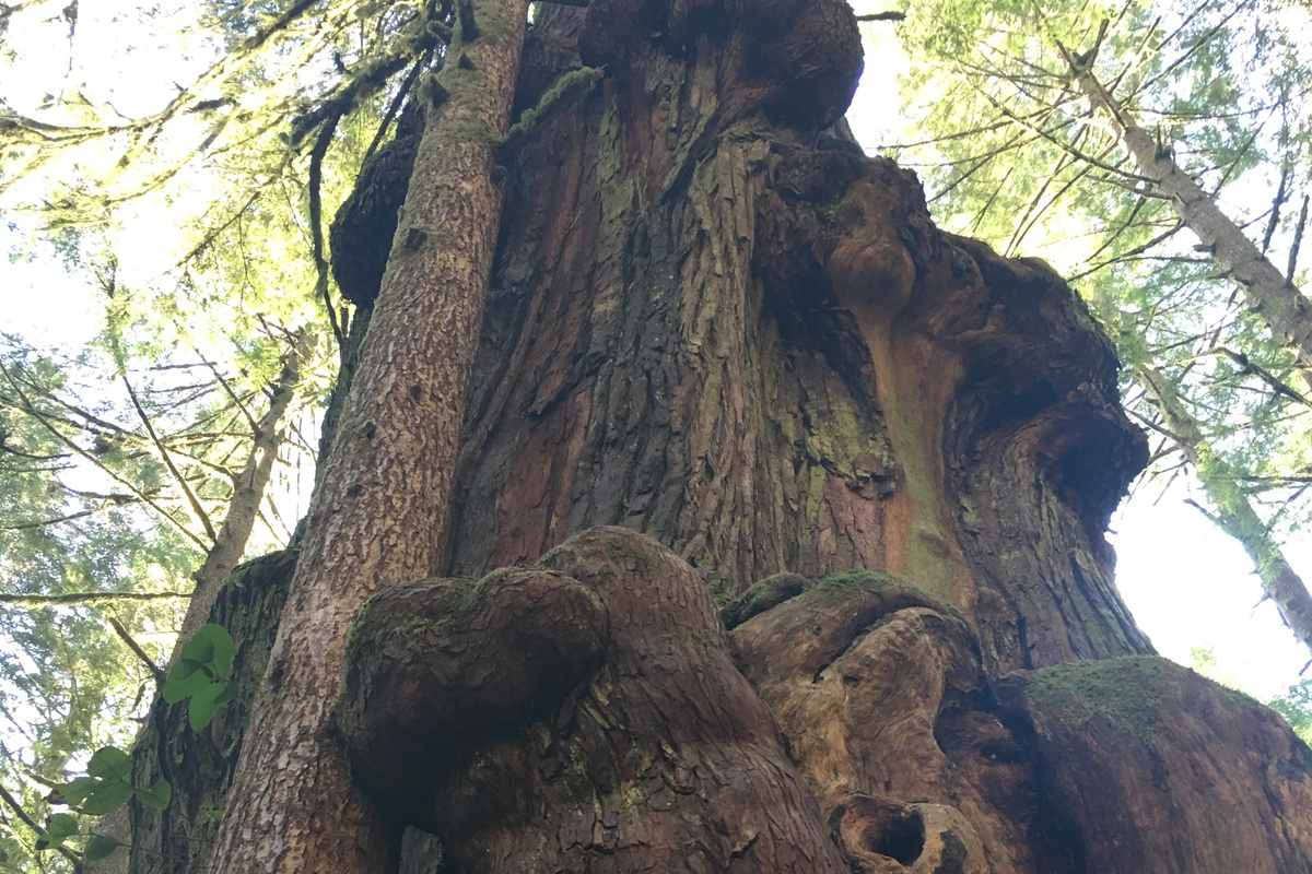Looking up from the base