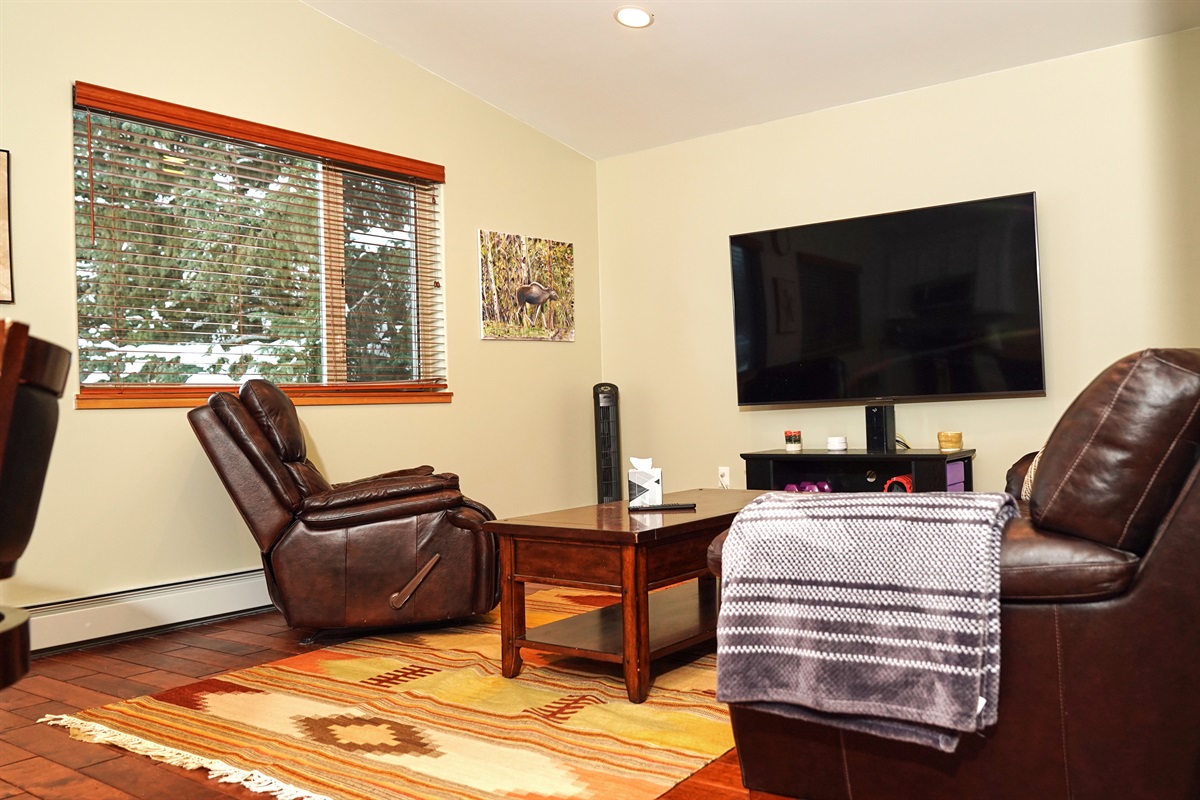 Relax, talk or watch the big screen! Living Area