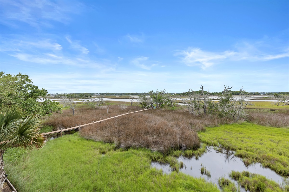 Scenic marsh landscapes that lead into nature
