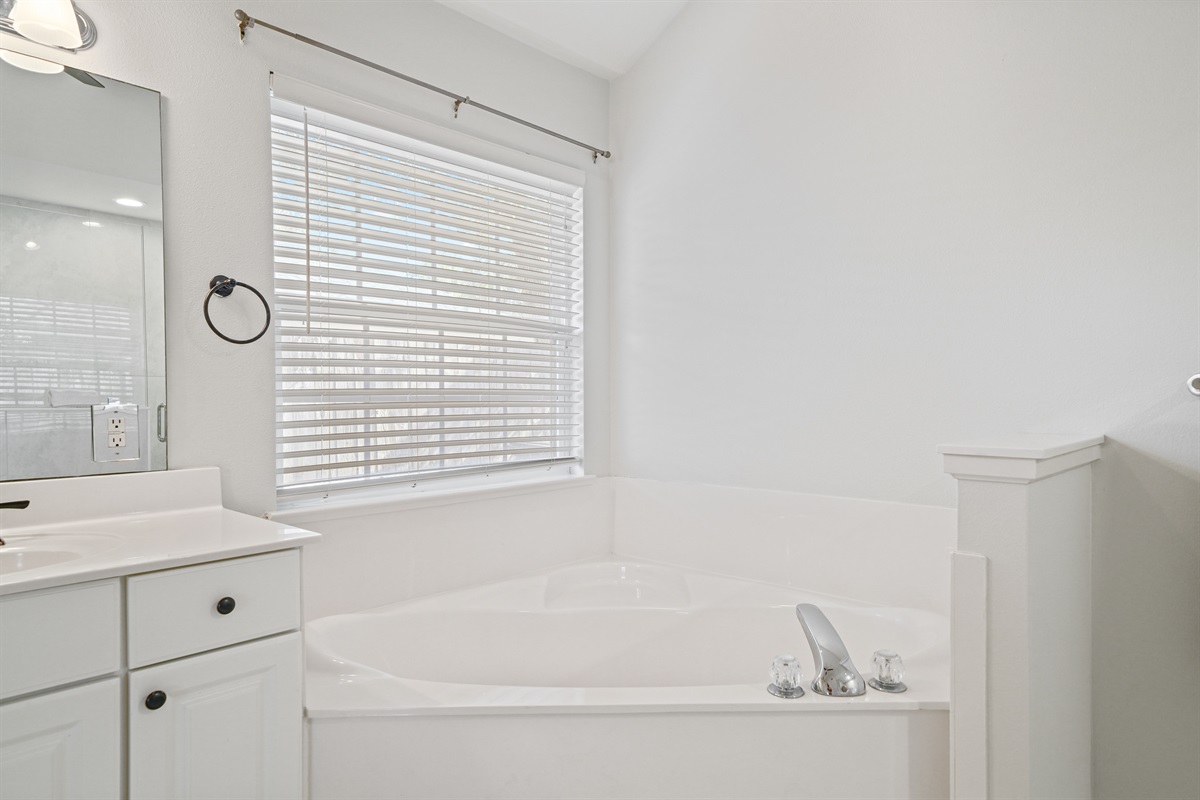 Primary Bathroom tub