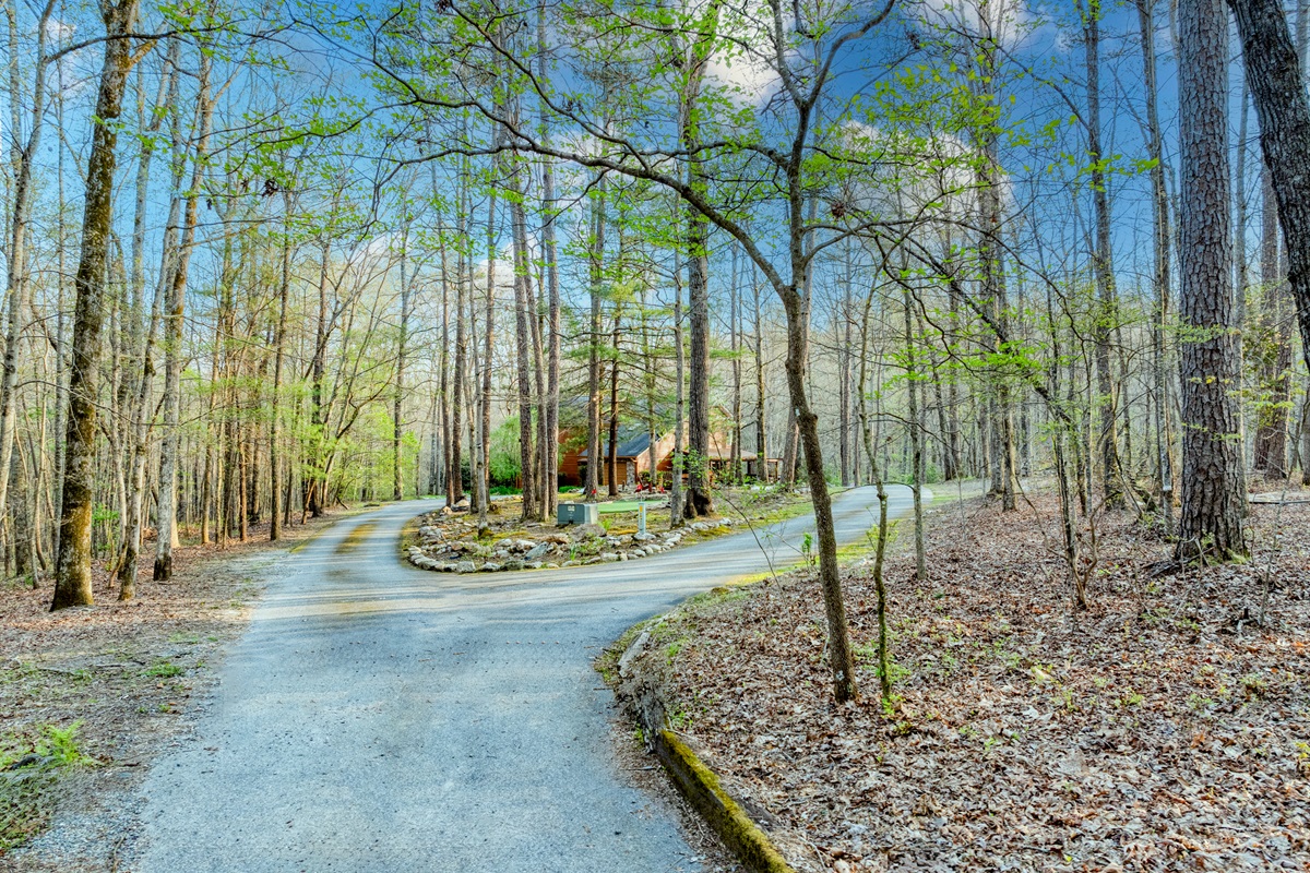 Drive way leading to the house