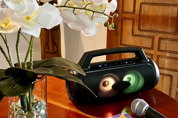 music and karaoke fun for all