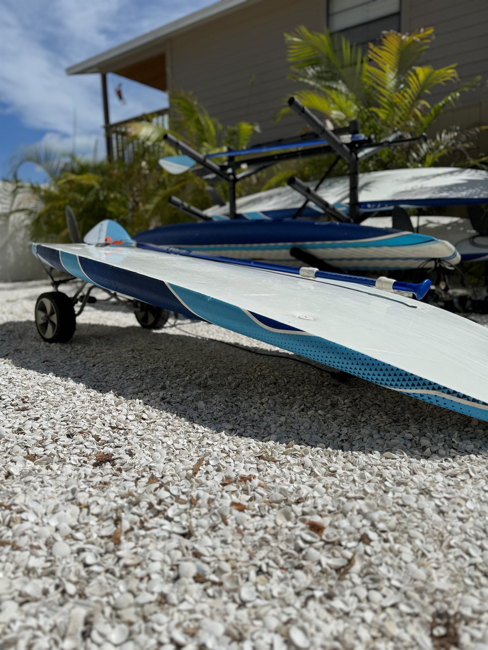 Try stand up paddle boarding!