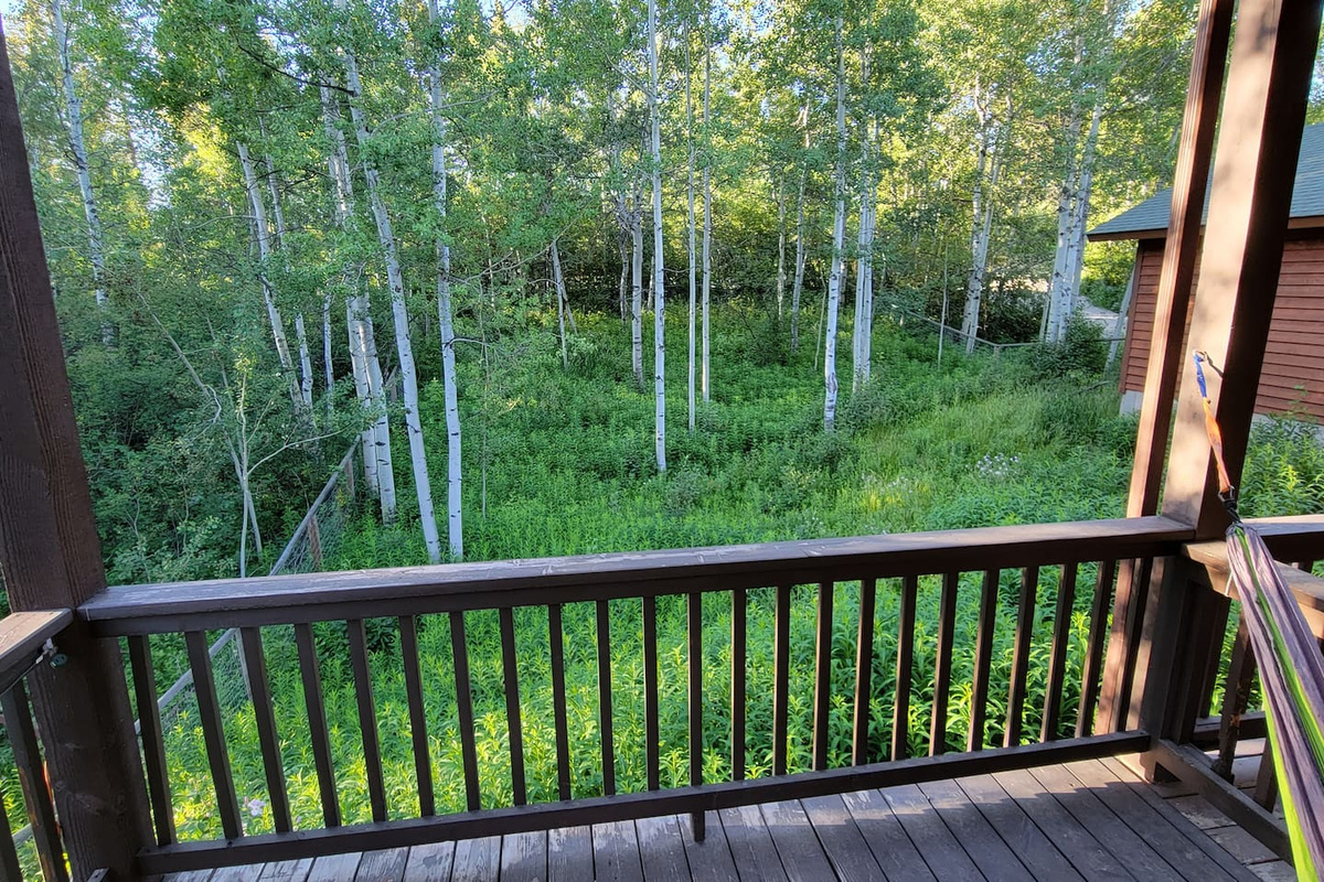 Fenced backyard