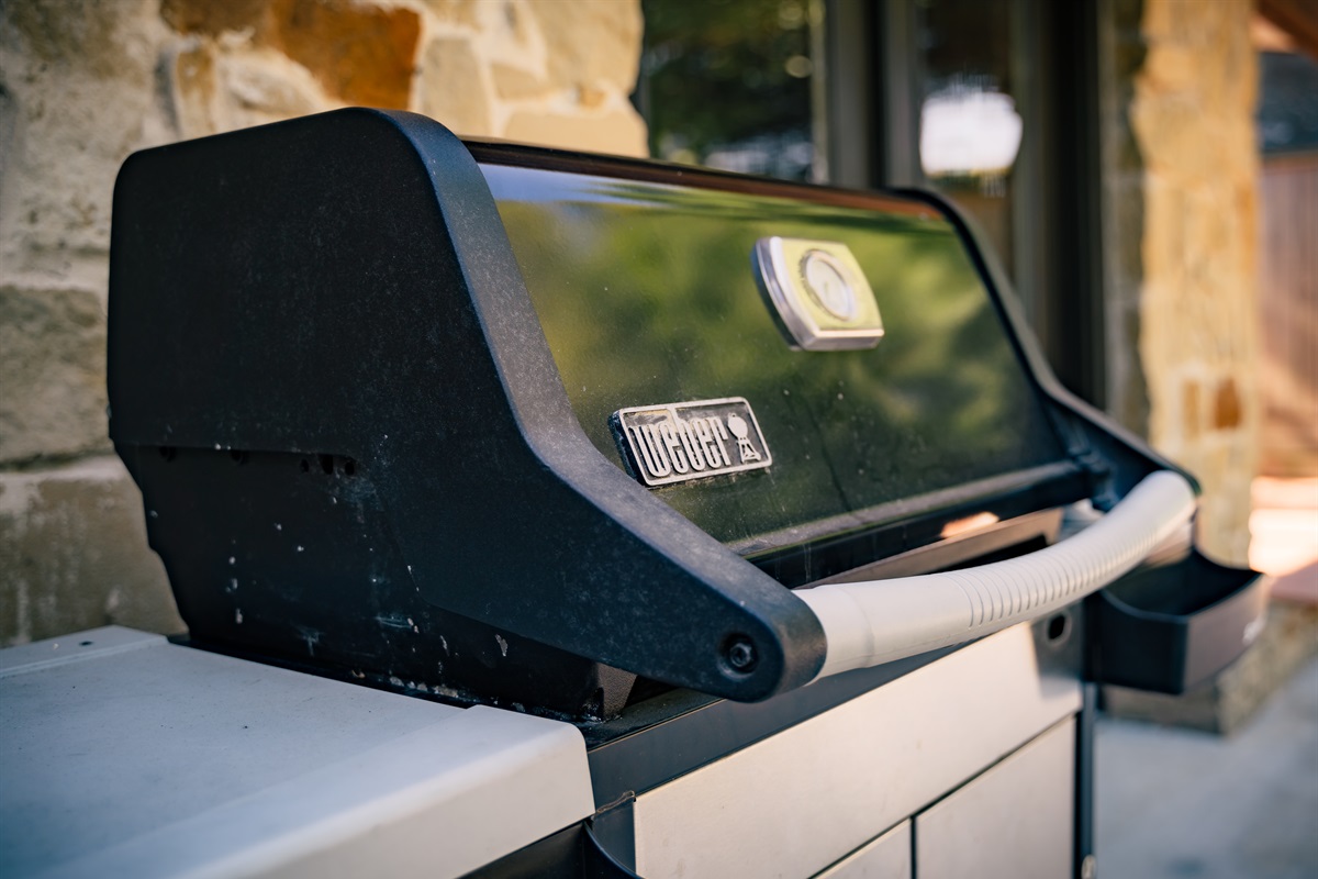 Propane grill