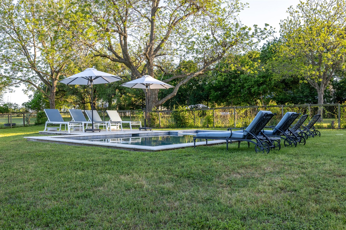 Shared Pool Liesel Farm