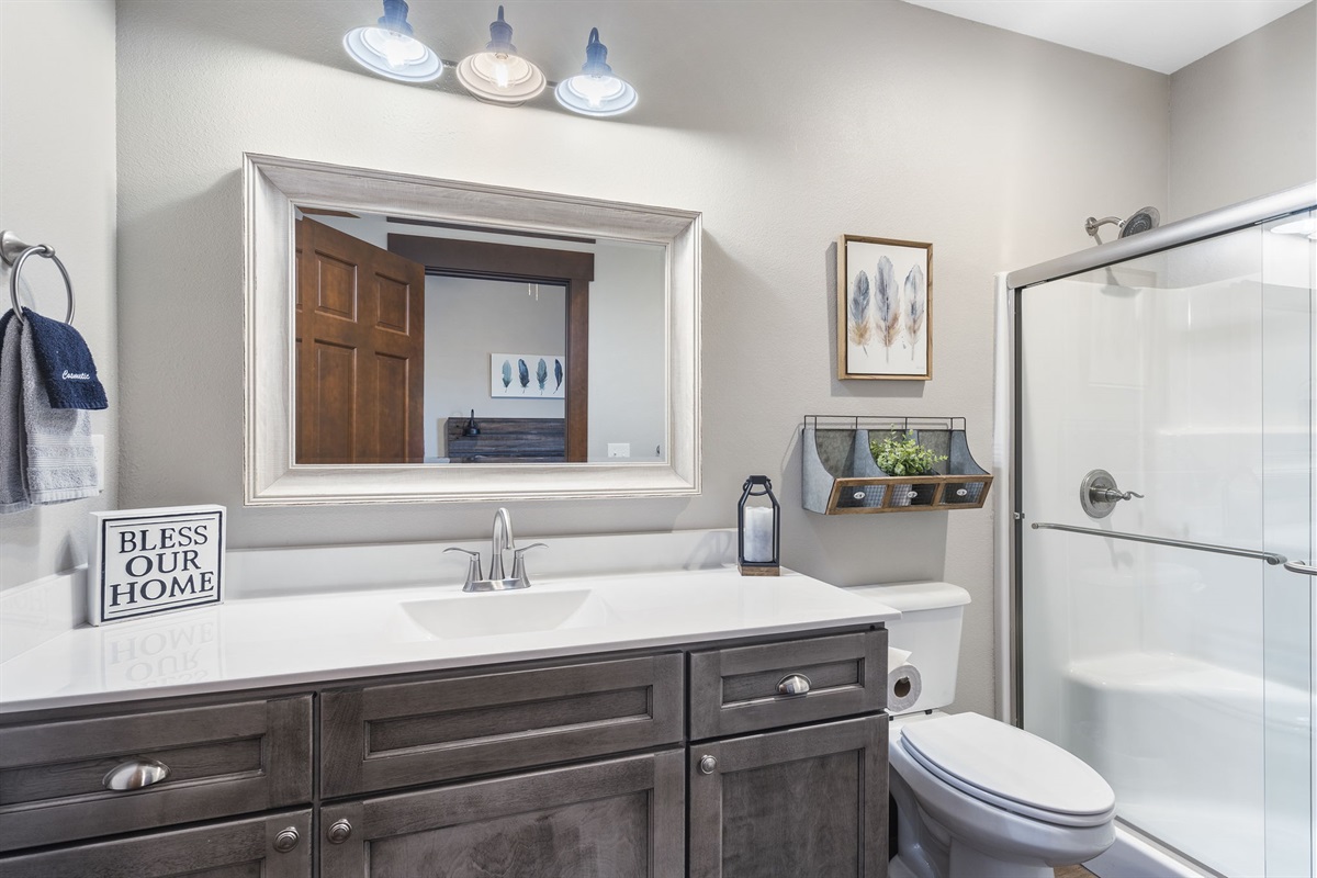 Lower level king bathroom