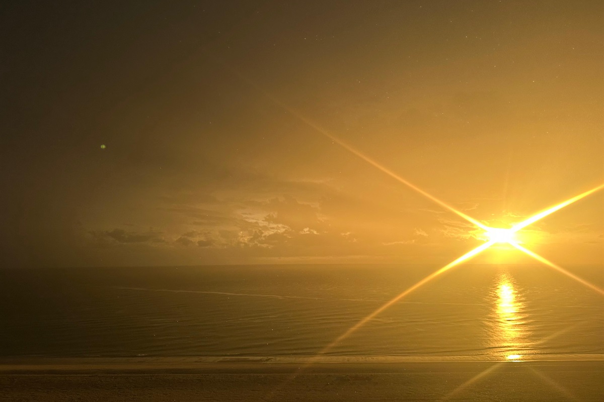 Kelly W., Jun 17, 2025