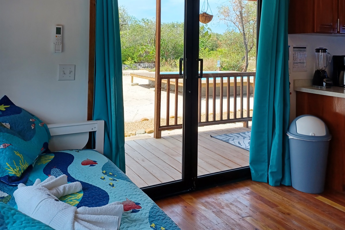 Starfish with pool view