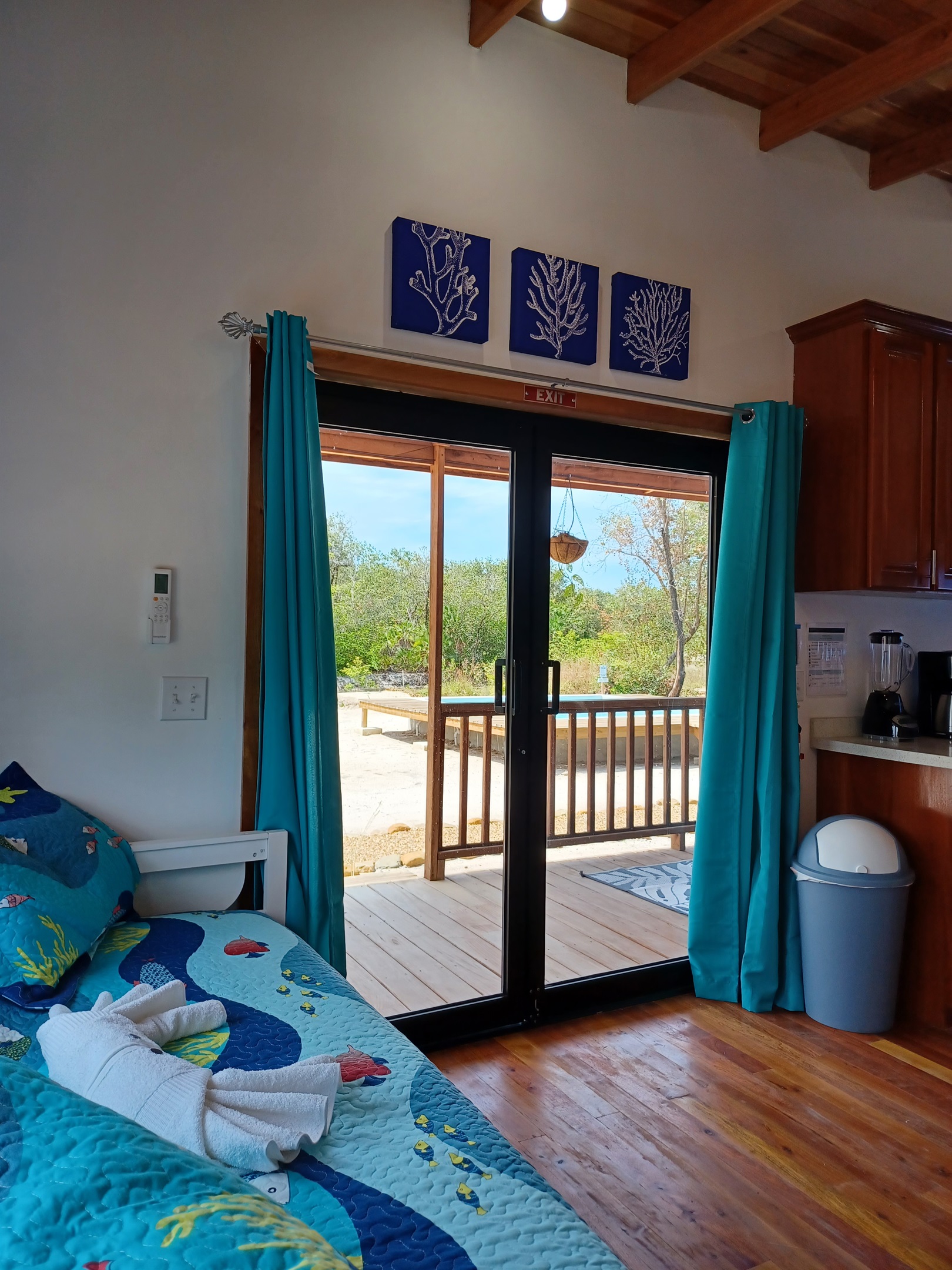 Starfish with pool view