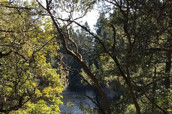 One of our favourite swimming spots along the Thetis Lake trail