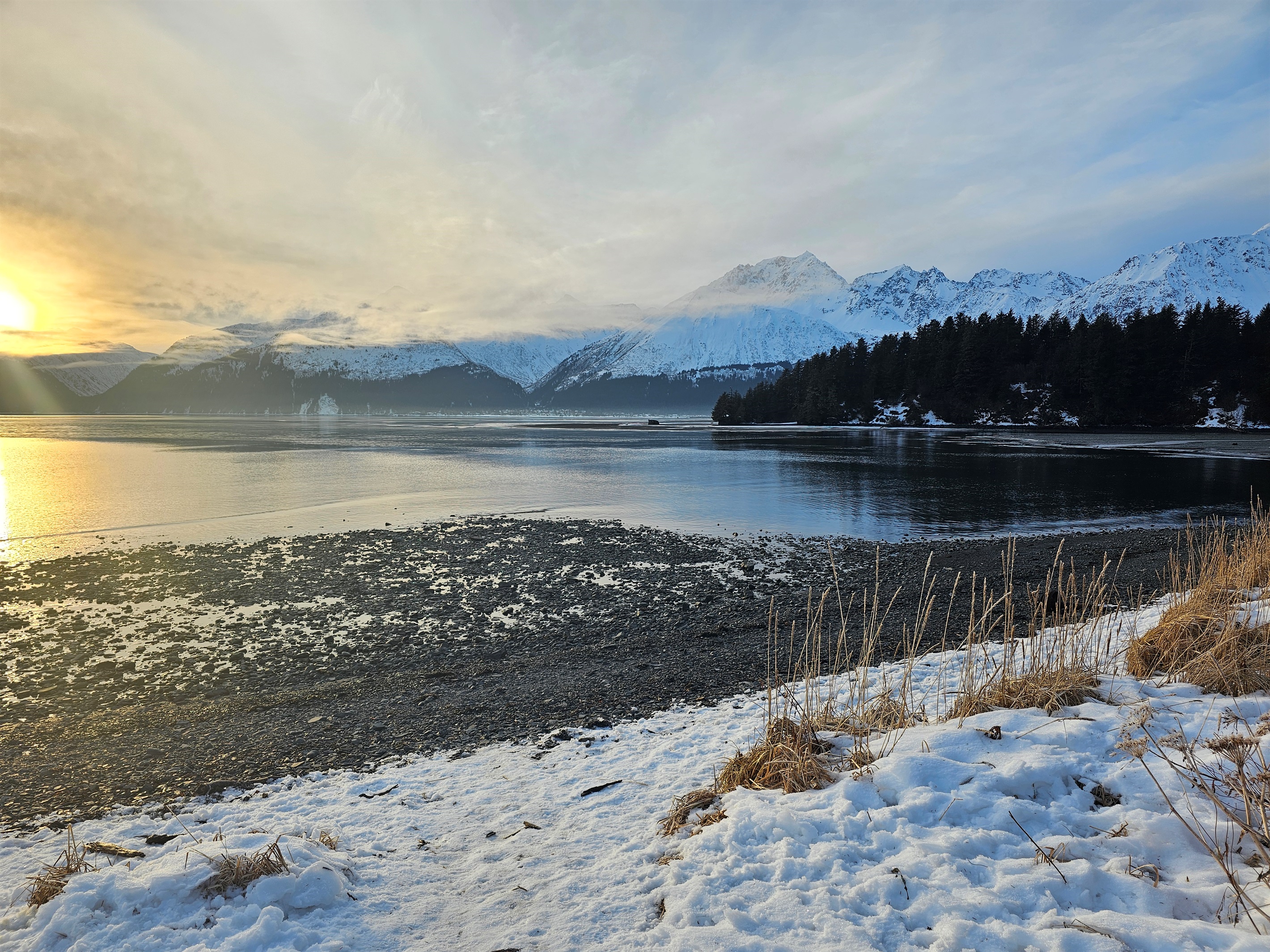 Resurrection Bay access near the cabin