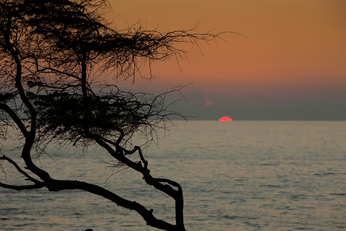 Right across the street, watch the sun sink down over the Pacific every evening!