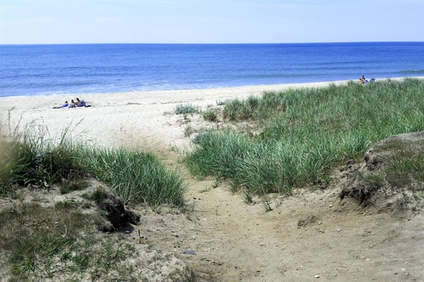 Path down to Tom Nevers Beach, just a 10 minute walk from the house.