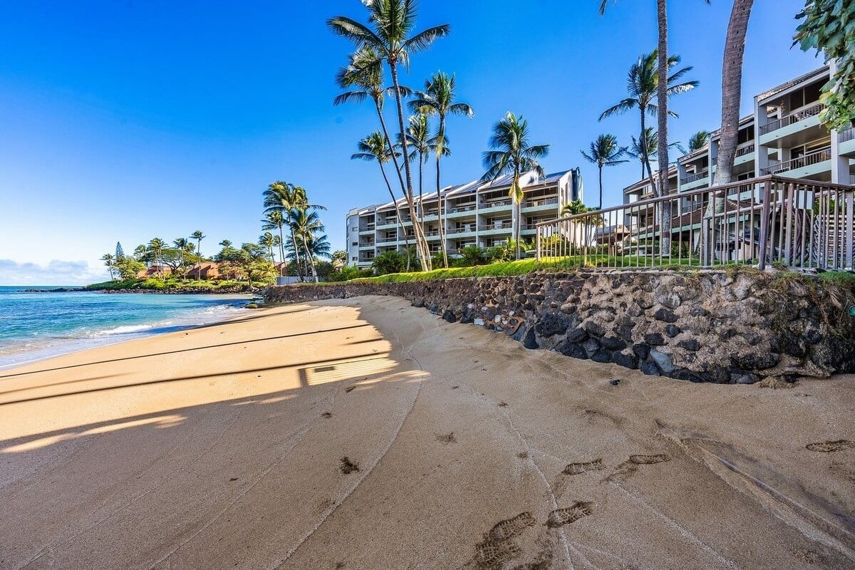 Sea Turtles (Honu) often sleep here