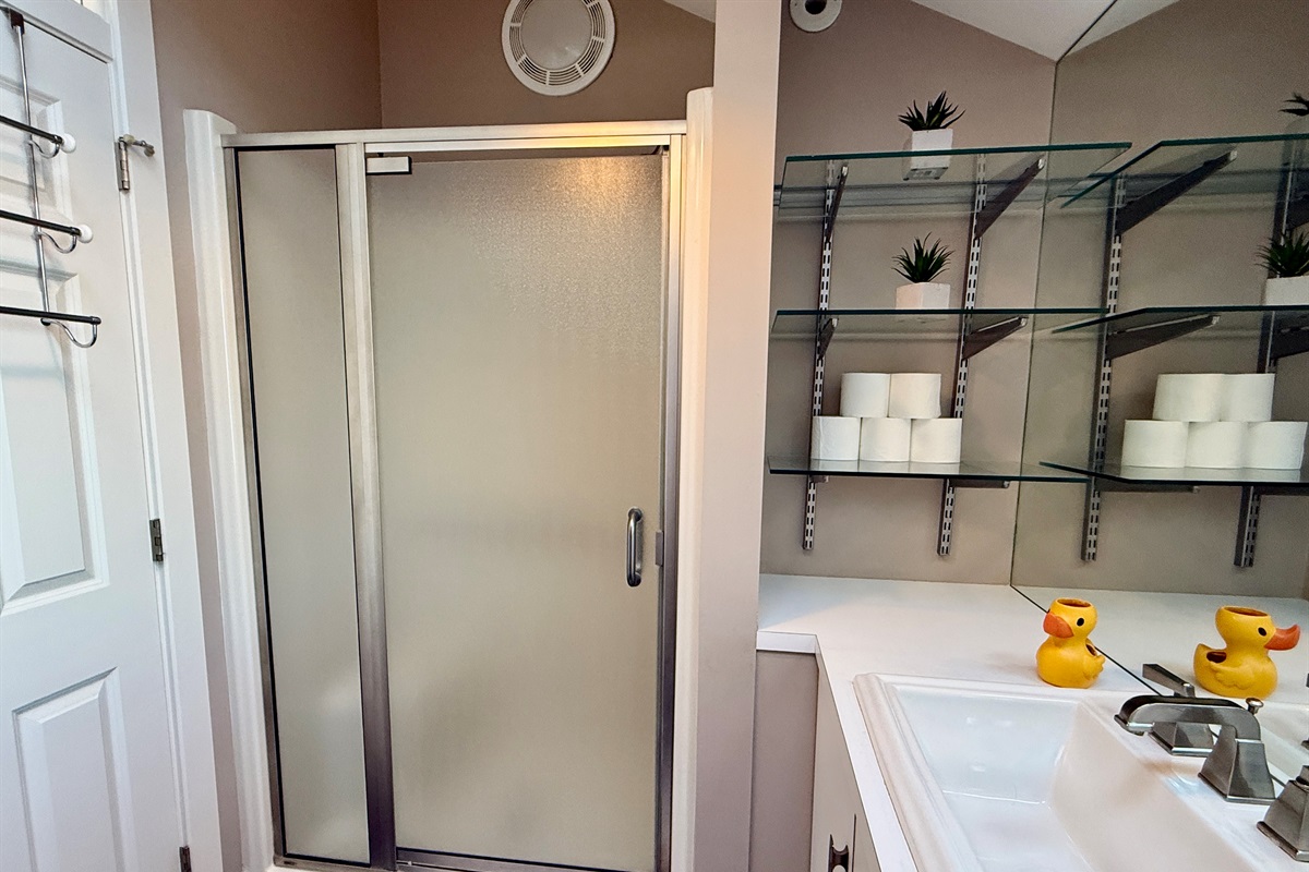 Walk in Shower and Large Vanity