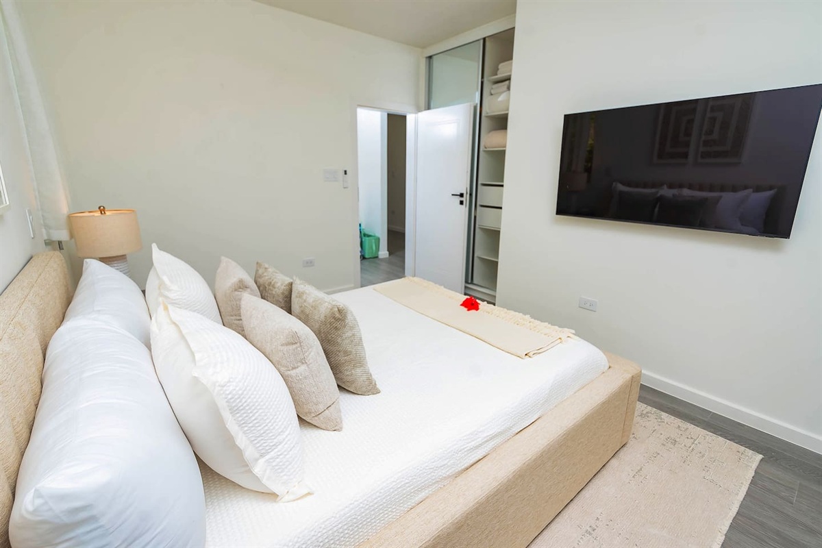 2nd bedroom with queen size bed, air conditioning, ceiling fan, wall mounted TV and closet.