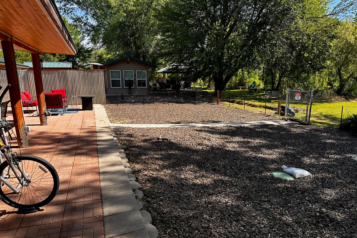 Back yard