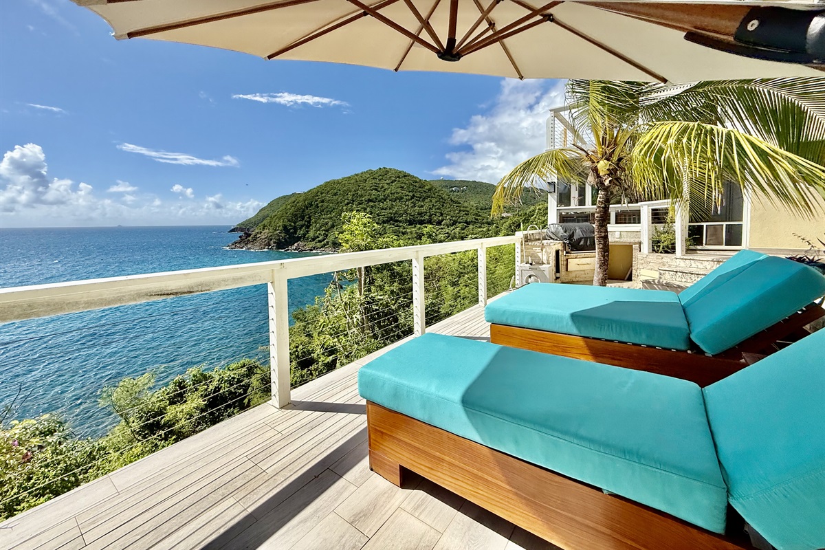 The massive, adjustable umbrella and palm, will provide shade throughout the day.