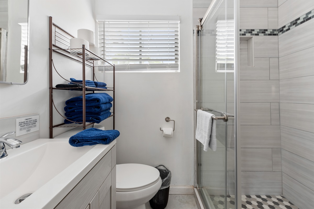 Bathroom with shower, in "Bonus room"