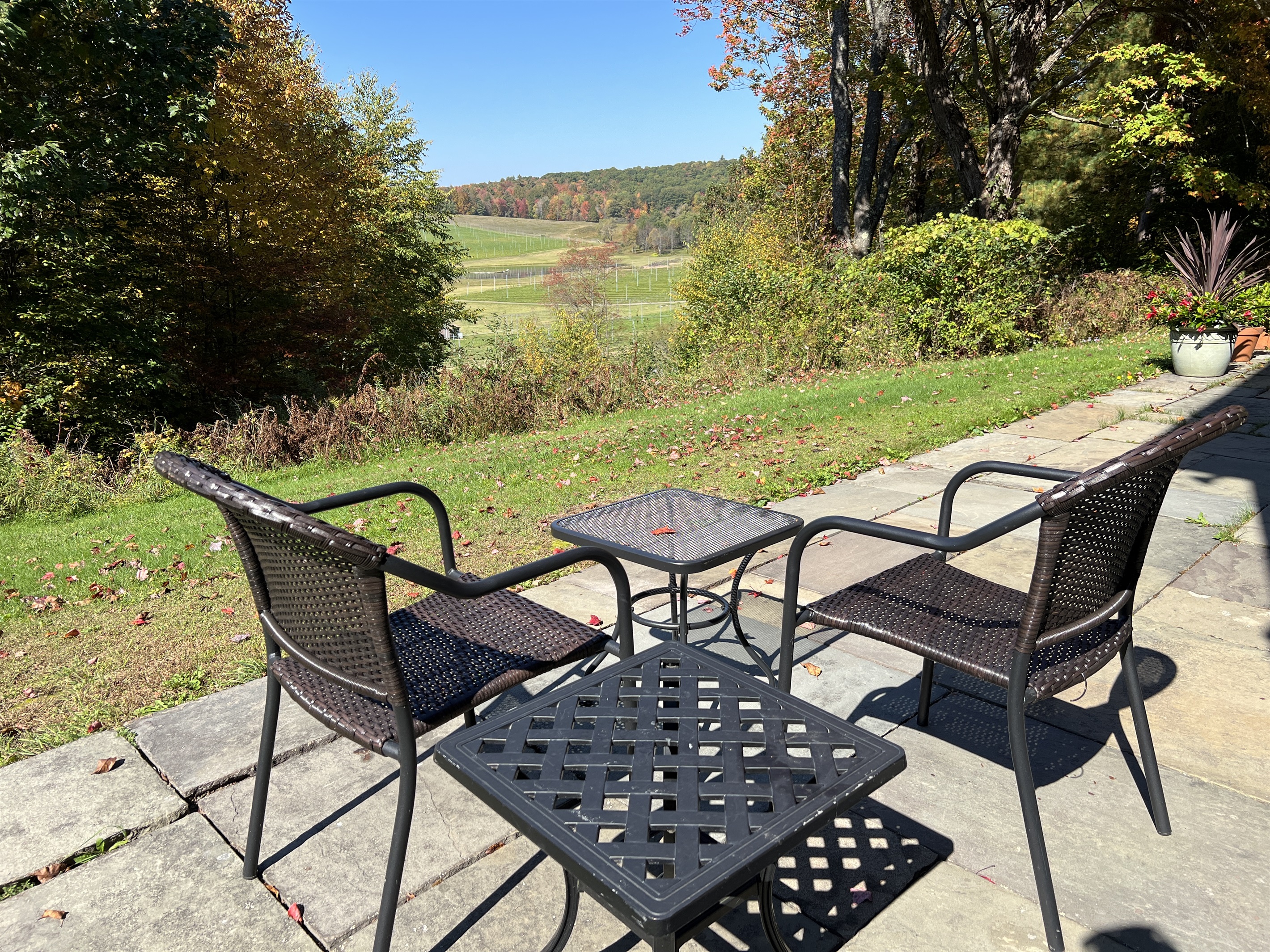 Patio overlooking local Hops Farm