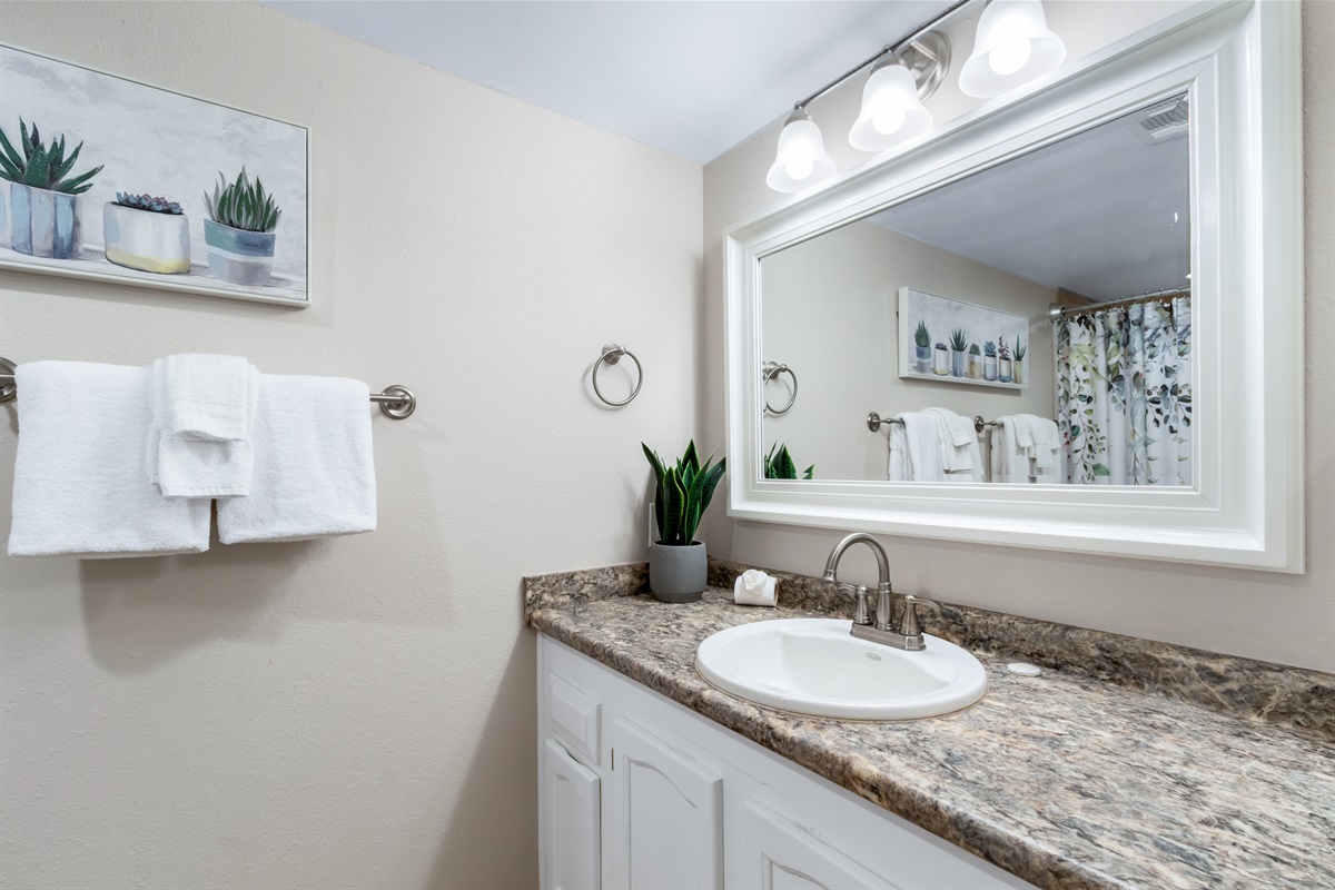 Guest Bathroom