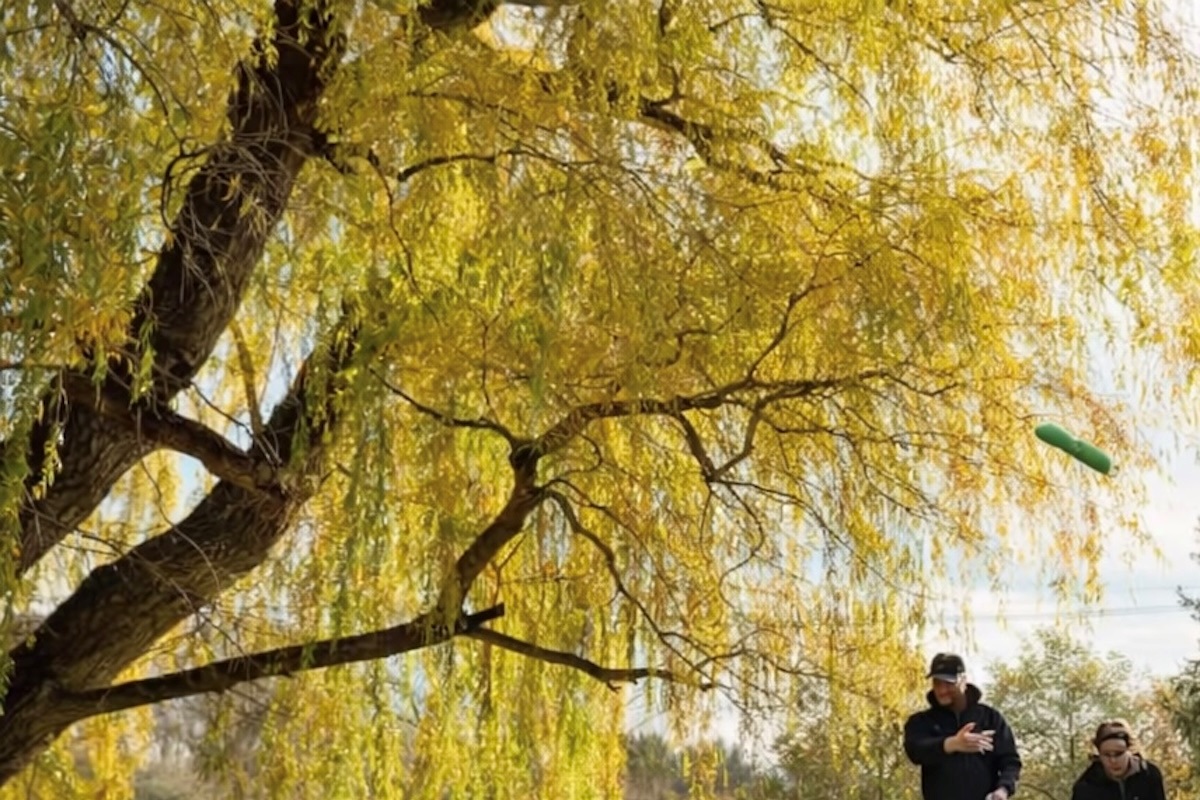 May the best toss win!