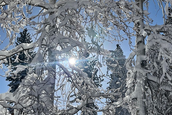 Explore the magic of Lake Tahoe's winter