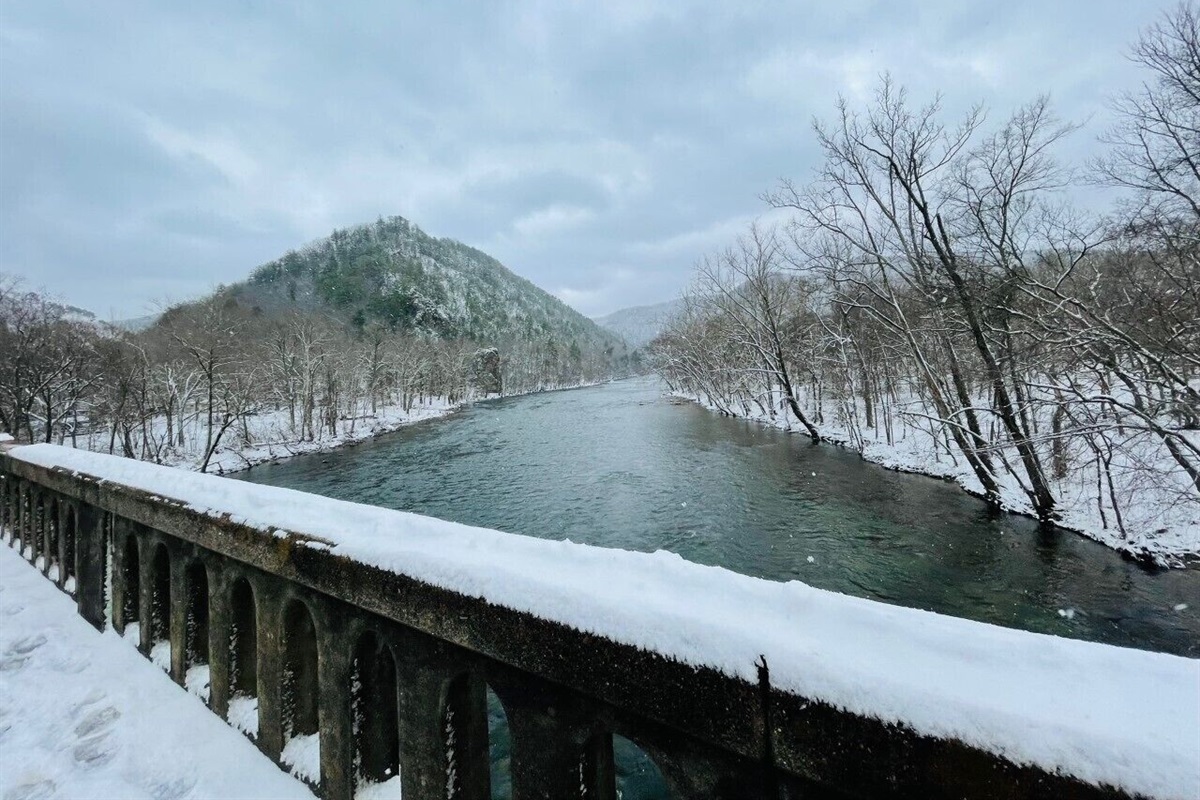 French Broad River Bridge in winter. Simply gorgeous