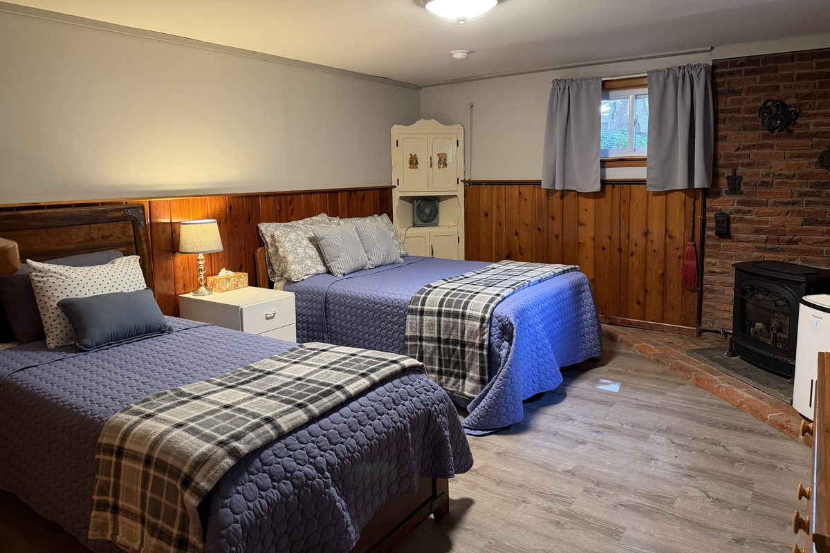 Lower level bedroom w/ double and twin