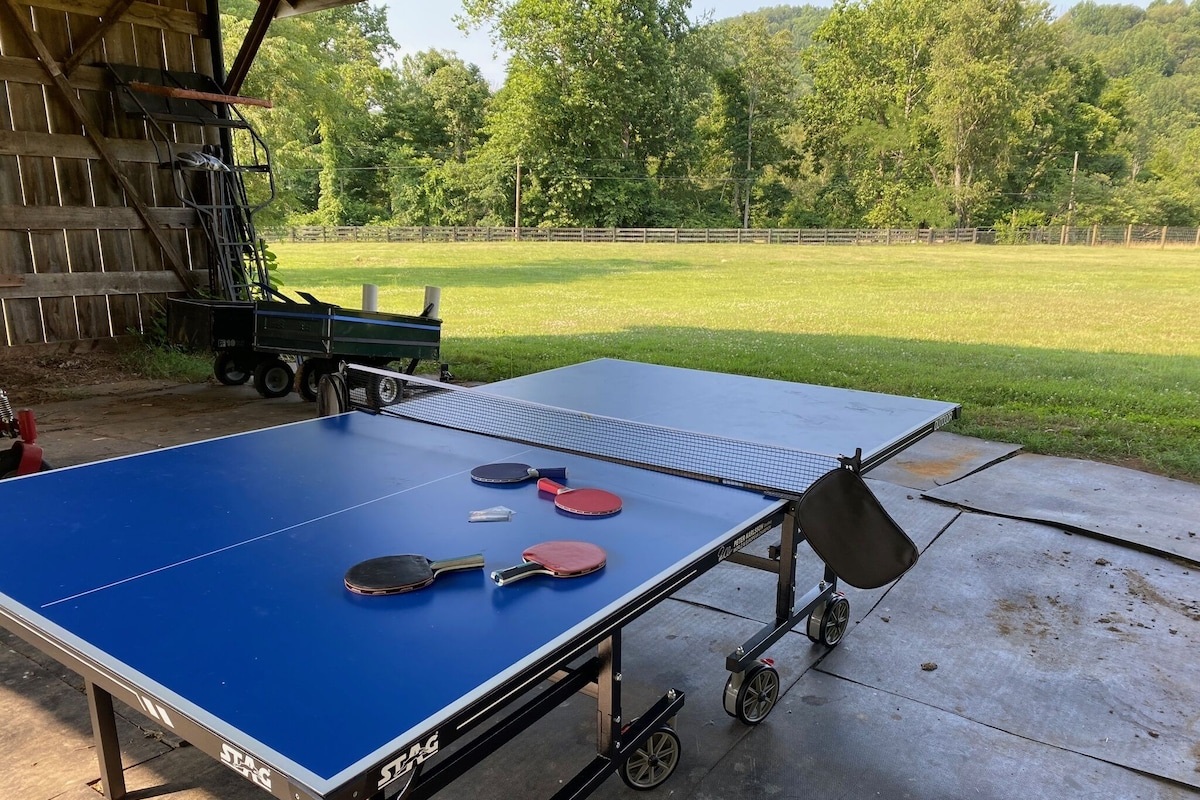 Ping Pong table (now gray top). Also badminton, bocci, croquet and horse shoes.
