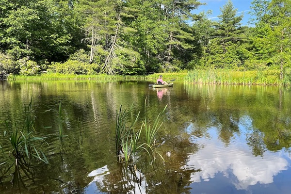 Kayaking on the lake provides an up-close look at some of the resident animals, including turtles and fish.