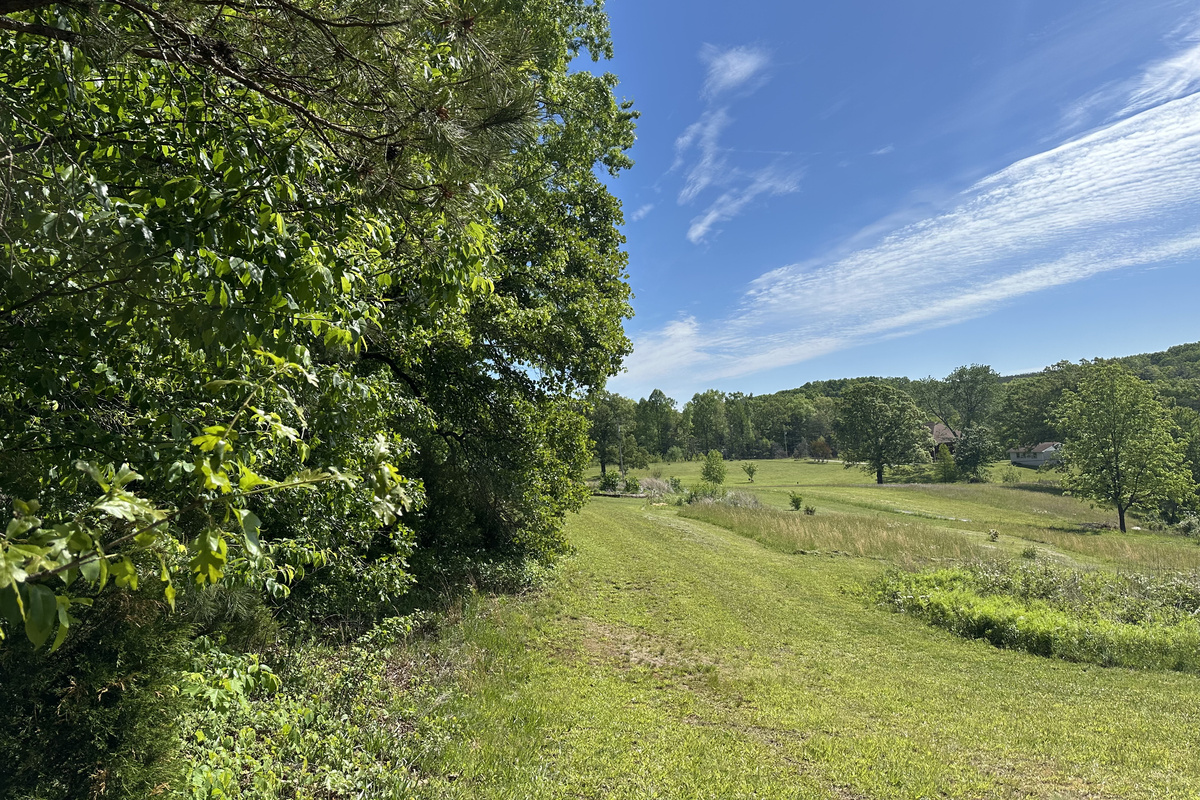 View down the prarie