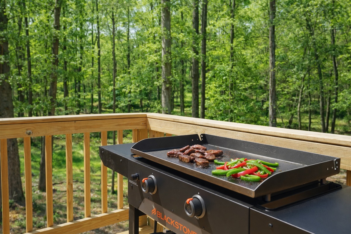 Blackstone propane grill right off the deck - 2 burner.