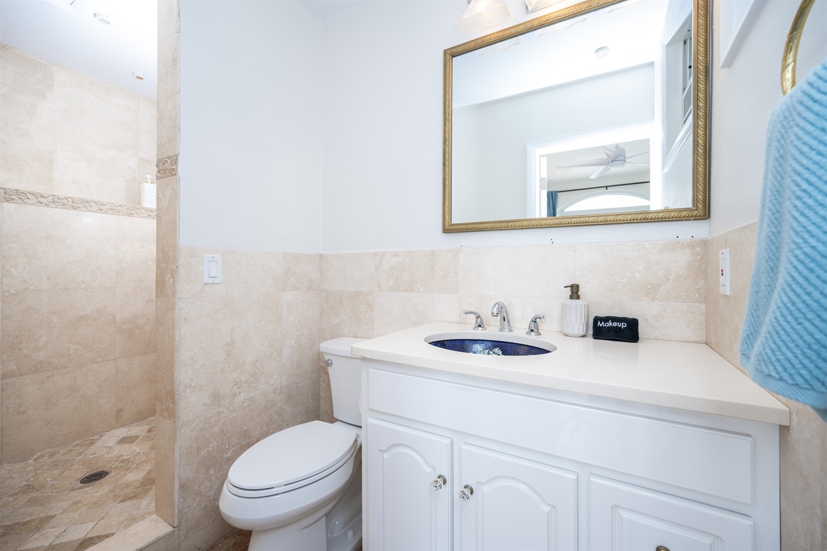 Downstairs Apartment Bathroom: The bathroom just off of the apartment bedroom