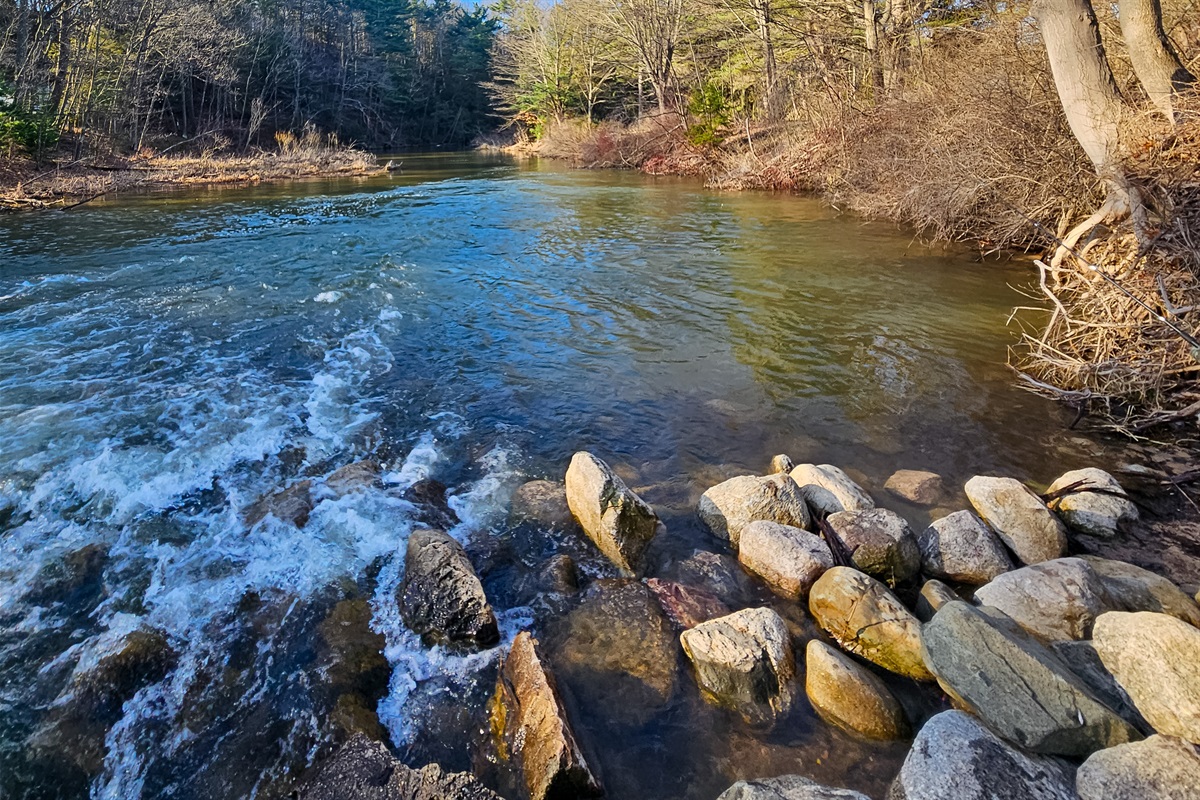 Stony Creek