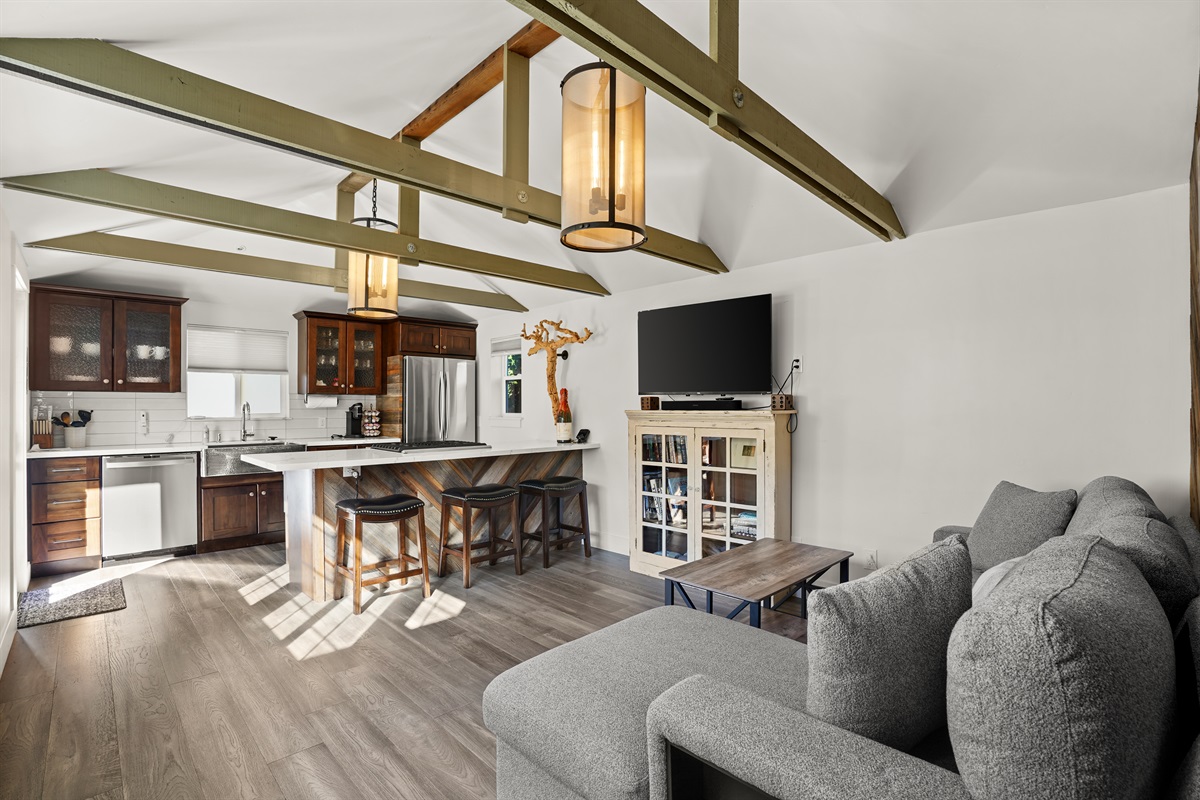 Living room with smart TV and sleeper couch