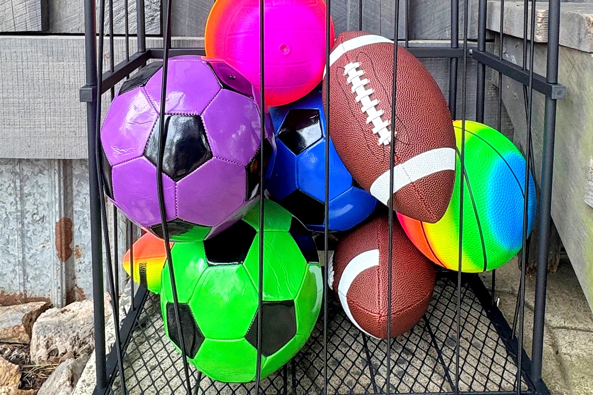 Grab a ball and let the Ouachita National Forest be your playground.